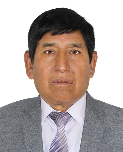 Campos Huamán Régulo Gil